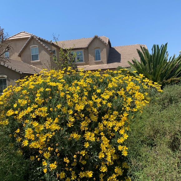 Meet your Posher, Ben - Picture 1 of 1